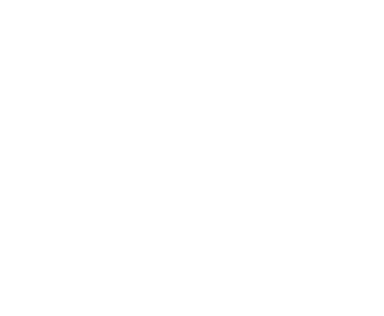 FRS (Functional Range Systems) logo